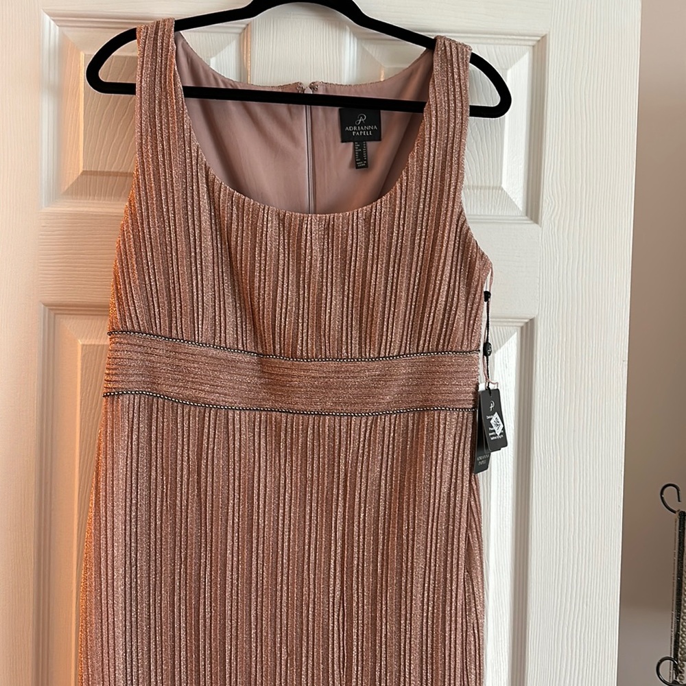 New with tags Adrianna Papell evening dress size 12